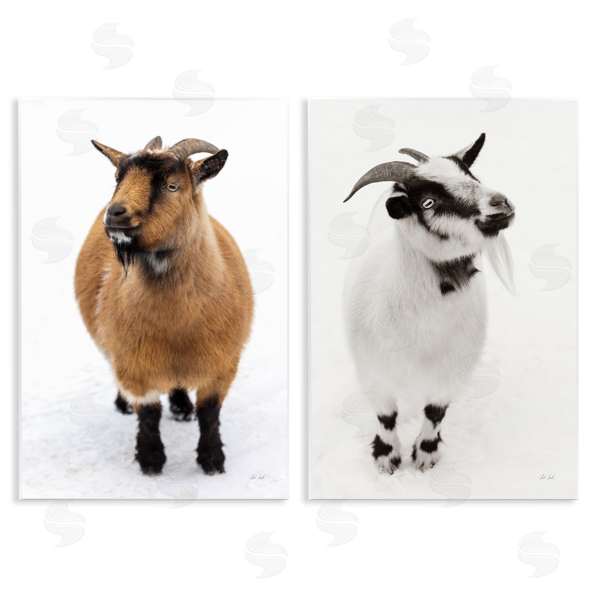 Deborah Revell Two Little Goats Canvas Wall Art Print