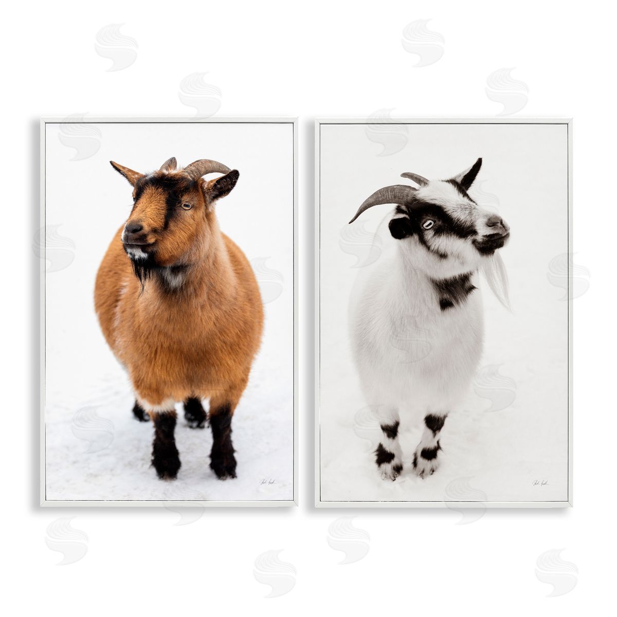Deborah Revell Two Little Goats Canvas Wall Art Print