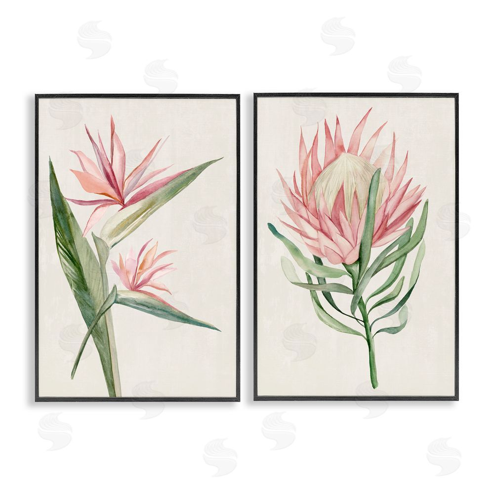 Hannah Dawson Tropical Grace Botanicals Black Framed Giclee Art Set