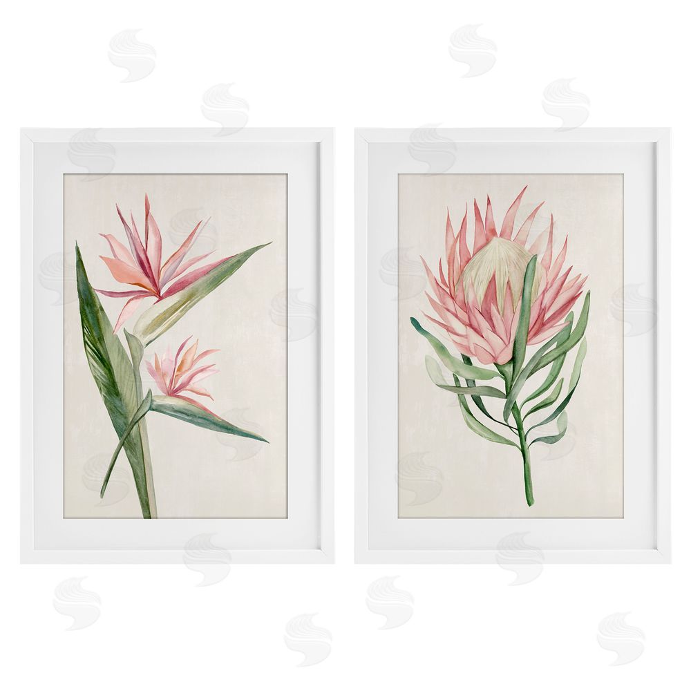 Hannah Dawson Tropical Grace Botanicals White Framed Print Under Glass Set