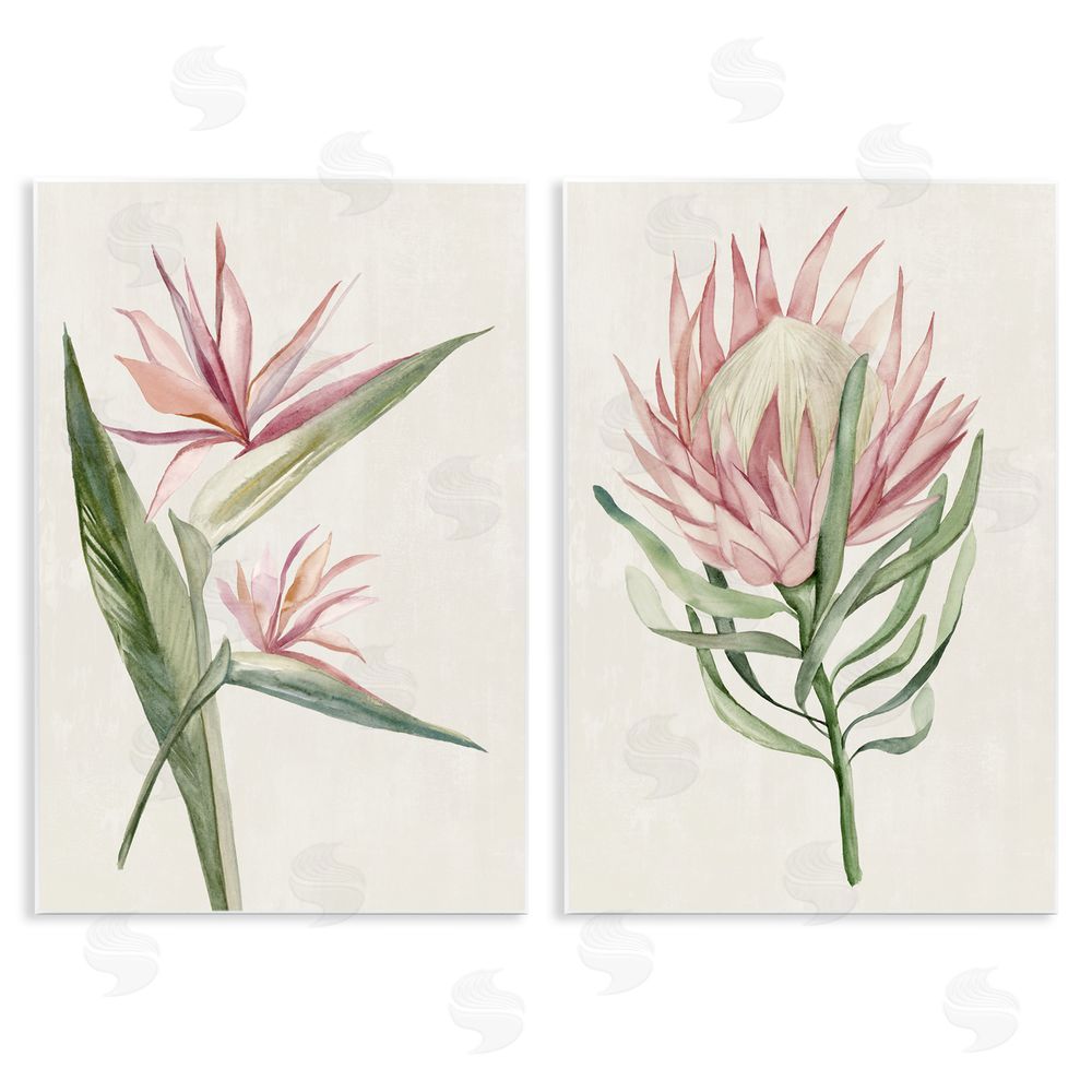 Hannah Dawson Tropical Grace Botanicals Wall Plaque Printed Art Set
