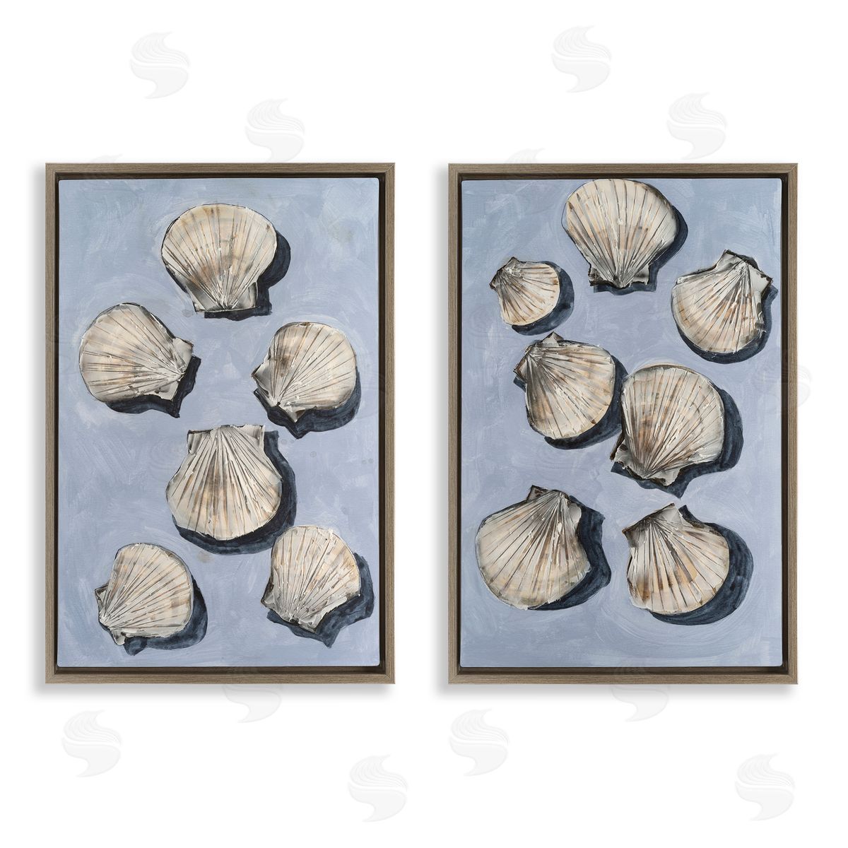 Michael Willett Embellished Clam Seashells Brown Floating Frame Canvas Art Set