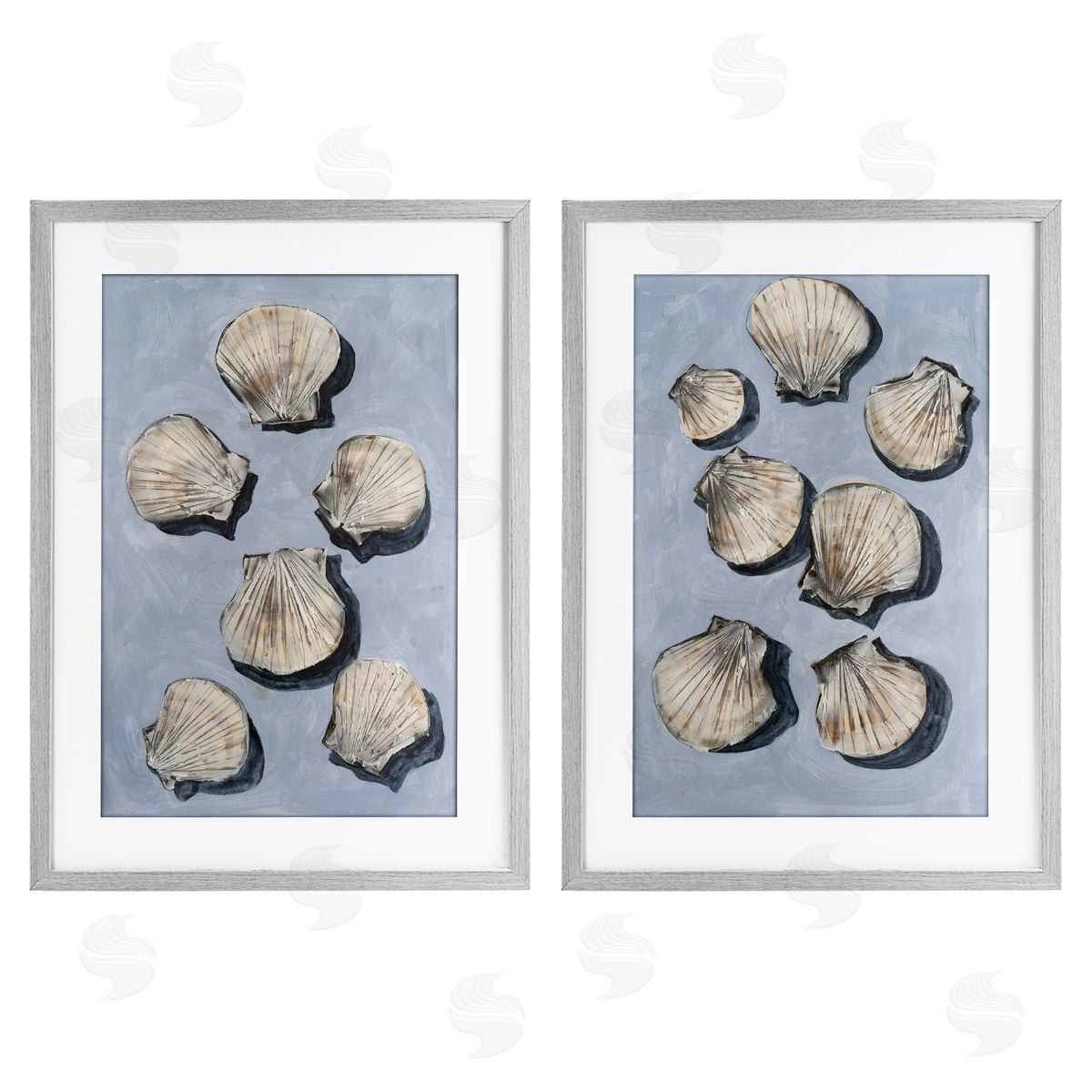 Michael Willett Embellished Clam Seashells Gray Framed Print Under Glass Set