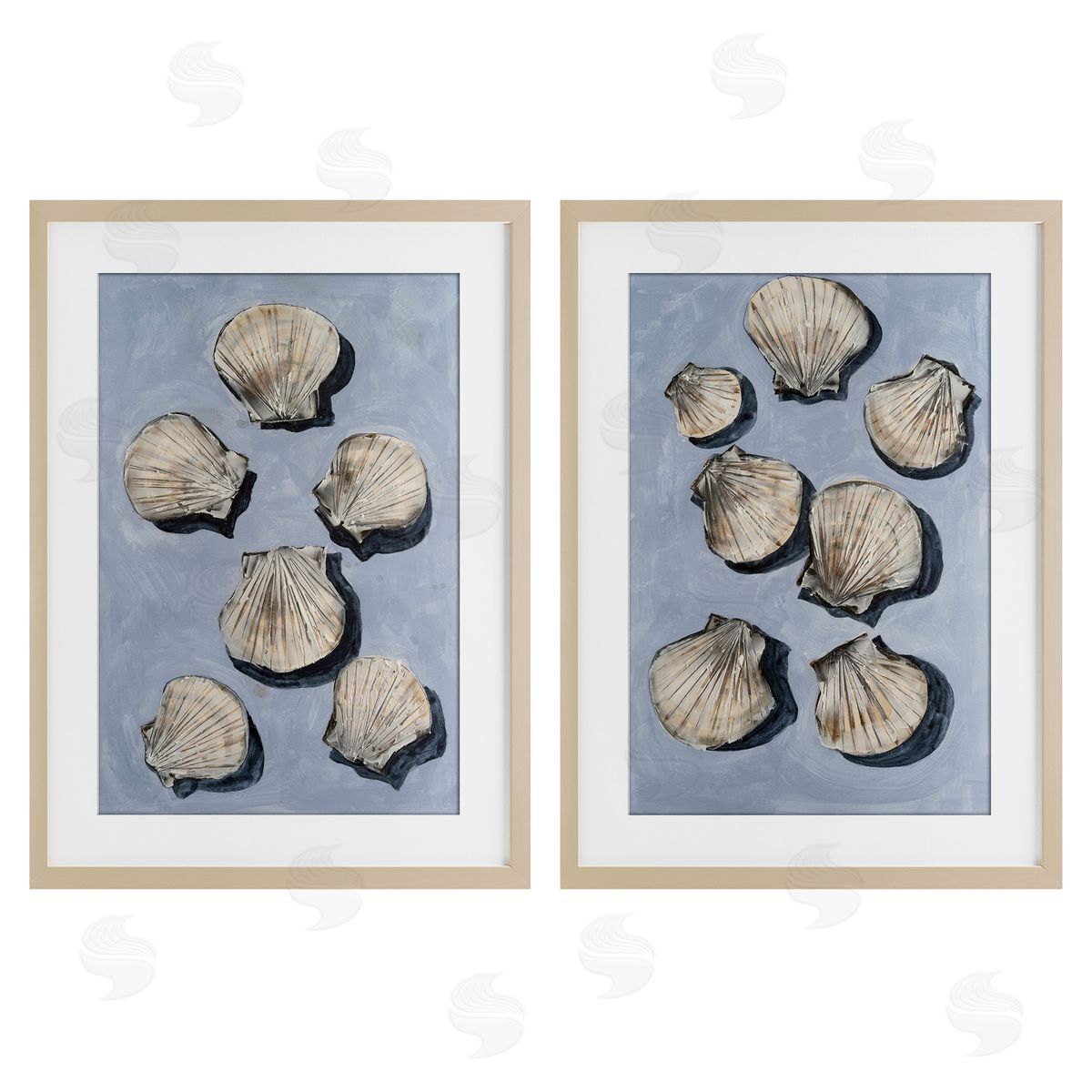 Michael Willett Embellished Clam Seashells Birch Framed Print Under Glass Set