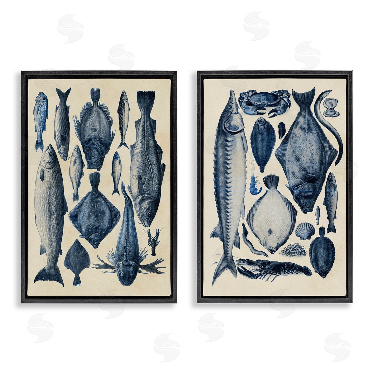 Alicia Longley Various Vintage Blue Fish Chart Black Floating Frame Canvas Wall Art Set