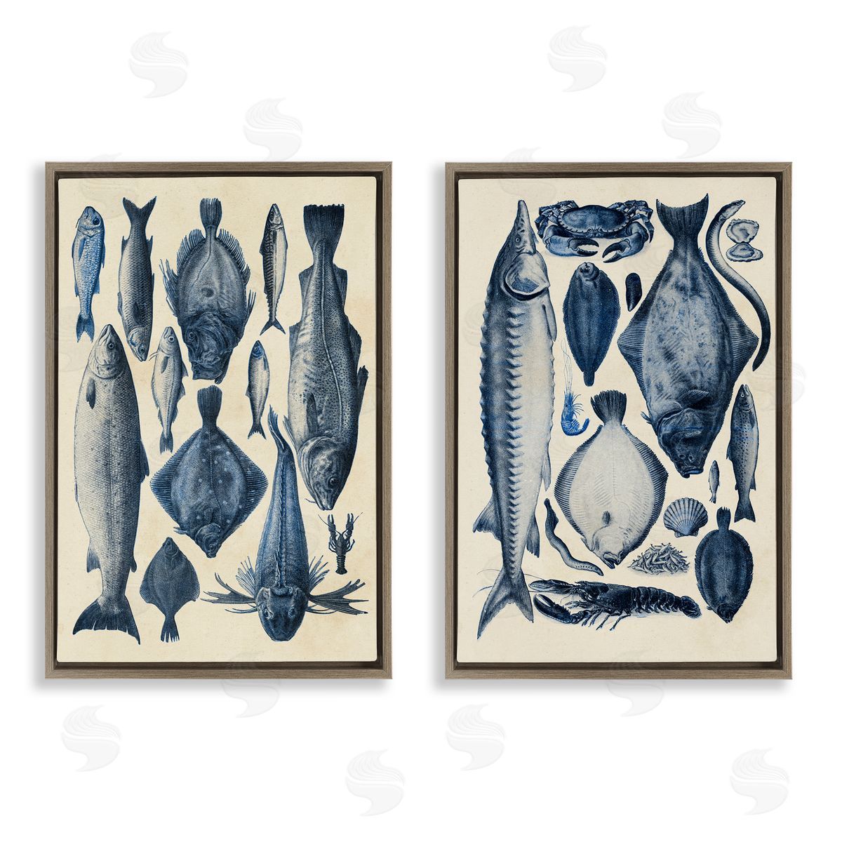 Alicia Longley Various Vintage Blue Fish Chart Brown Floating Frame Canvas Art Set
