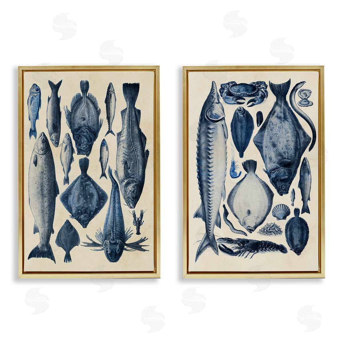 Alicia Longley Various Vintage Blue Fish Chart Gold Floating Frame Canvas Art Set