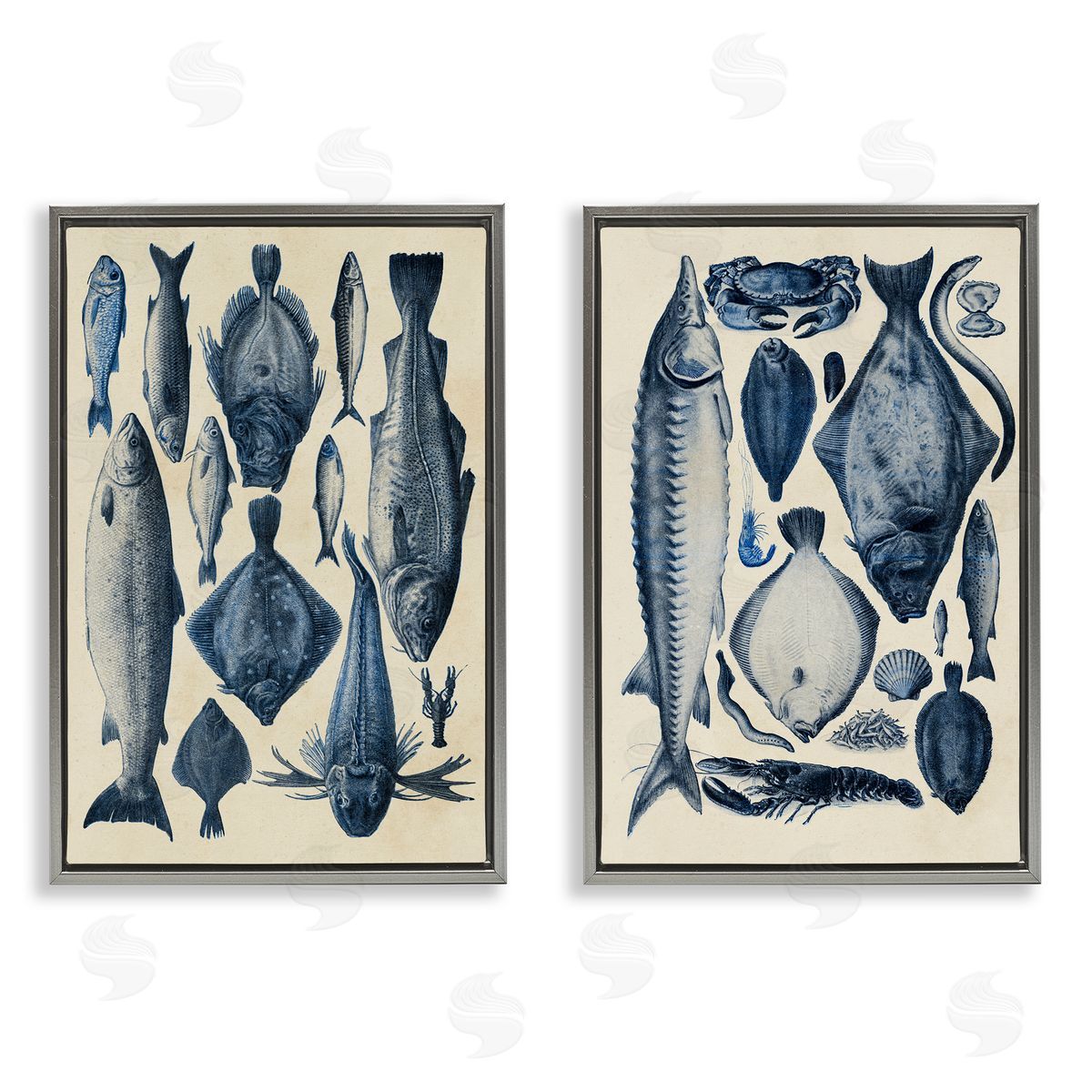 Alicia Longley Various Vintage Blue Fish Chart Gray Floating Frame Canvas Art Set