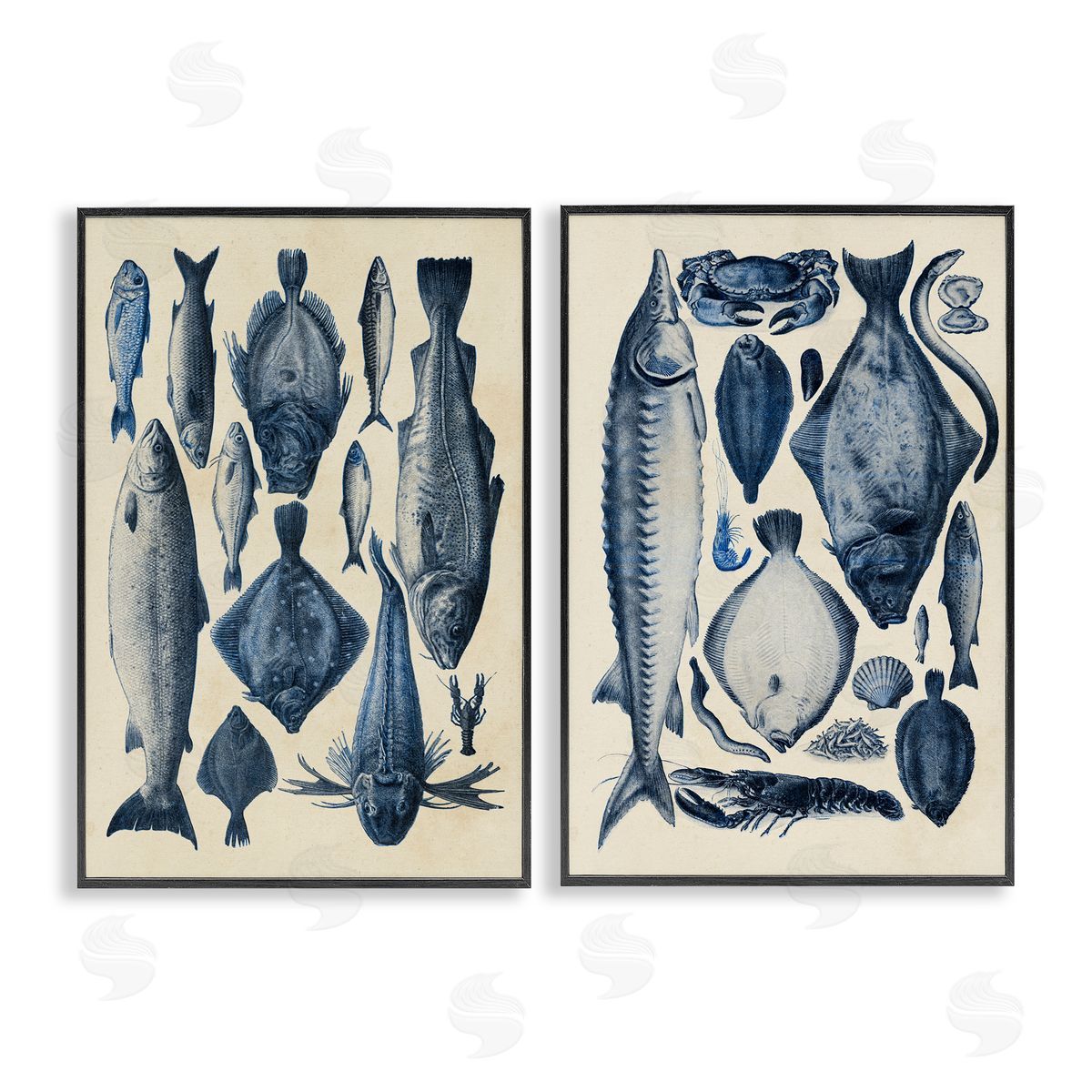 Alicia Longley Various Vintage Blue Fish Chart Black Framed Giclee Art Set