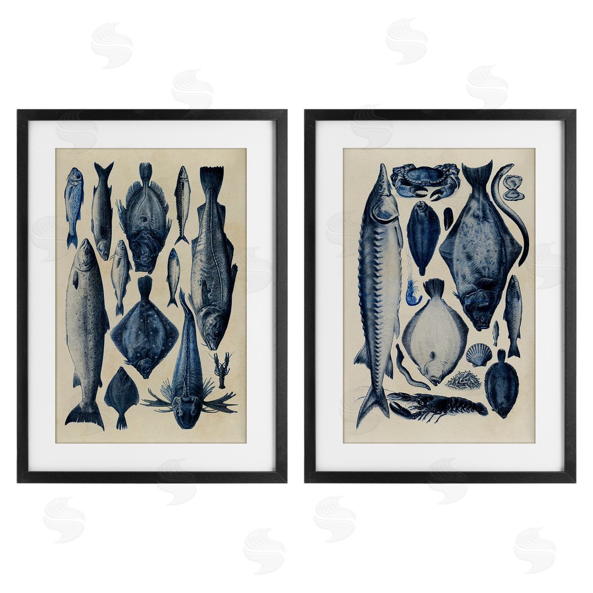 Alicia Longley Various Vintage Blue Fish Chart Black Framed Print Under Glass Set