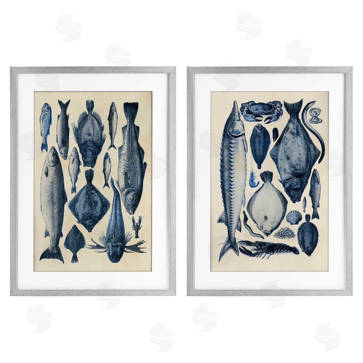 Alicia Longley Various Vintage Blue Fish Chart Gray Framed Print Under Glass Set