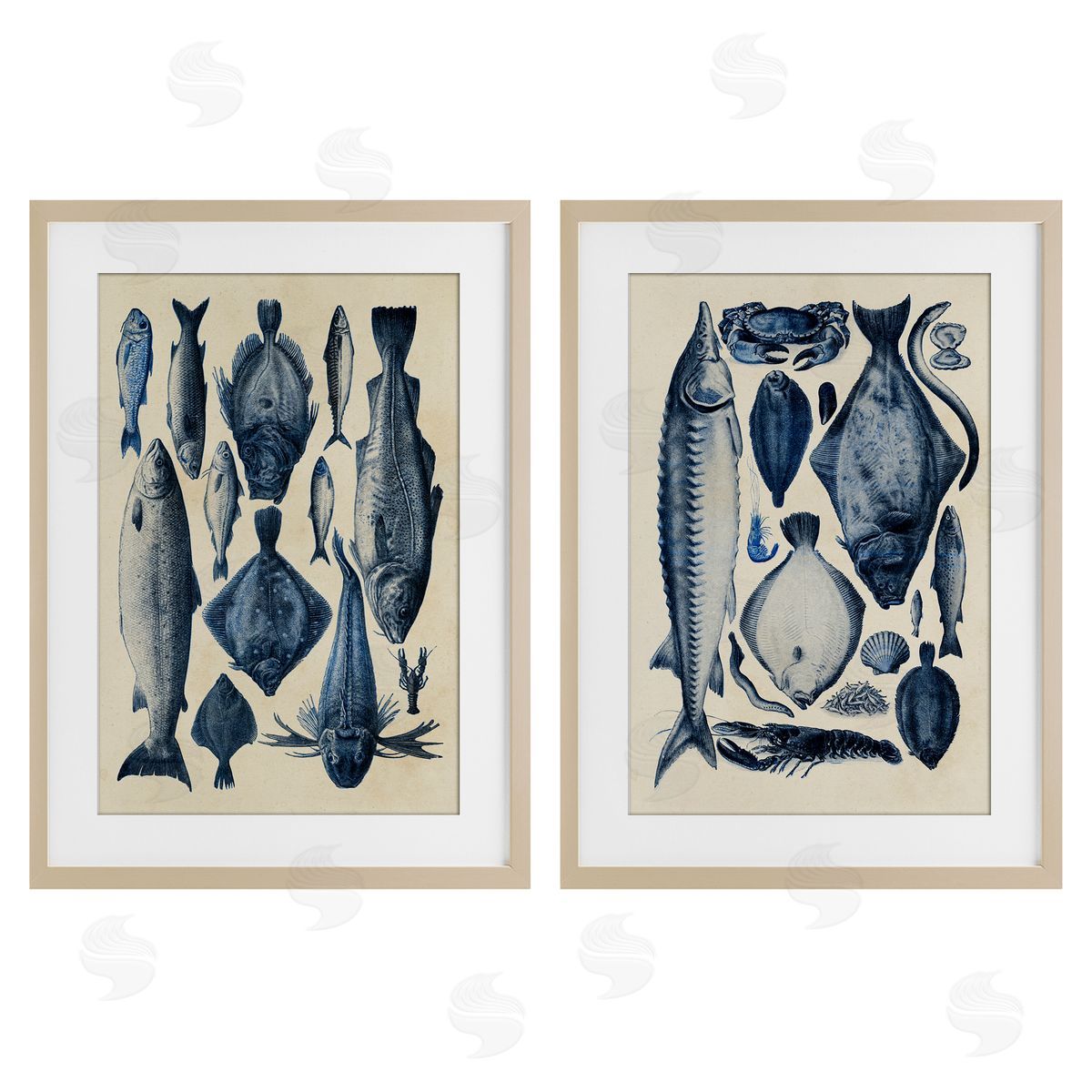 Alicia Longley Various Vintage Blue Fish Chart Birch Framed Print Under Glass Set