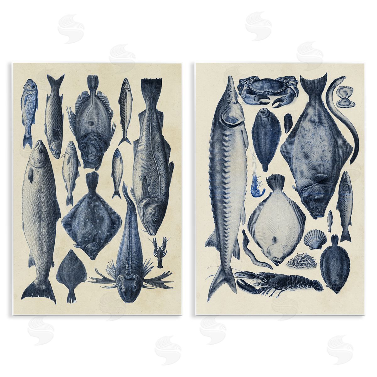 Alicia Longley Various Vintage Blue Fish Chart Wall Plaque Printed Art Set