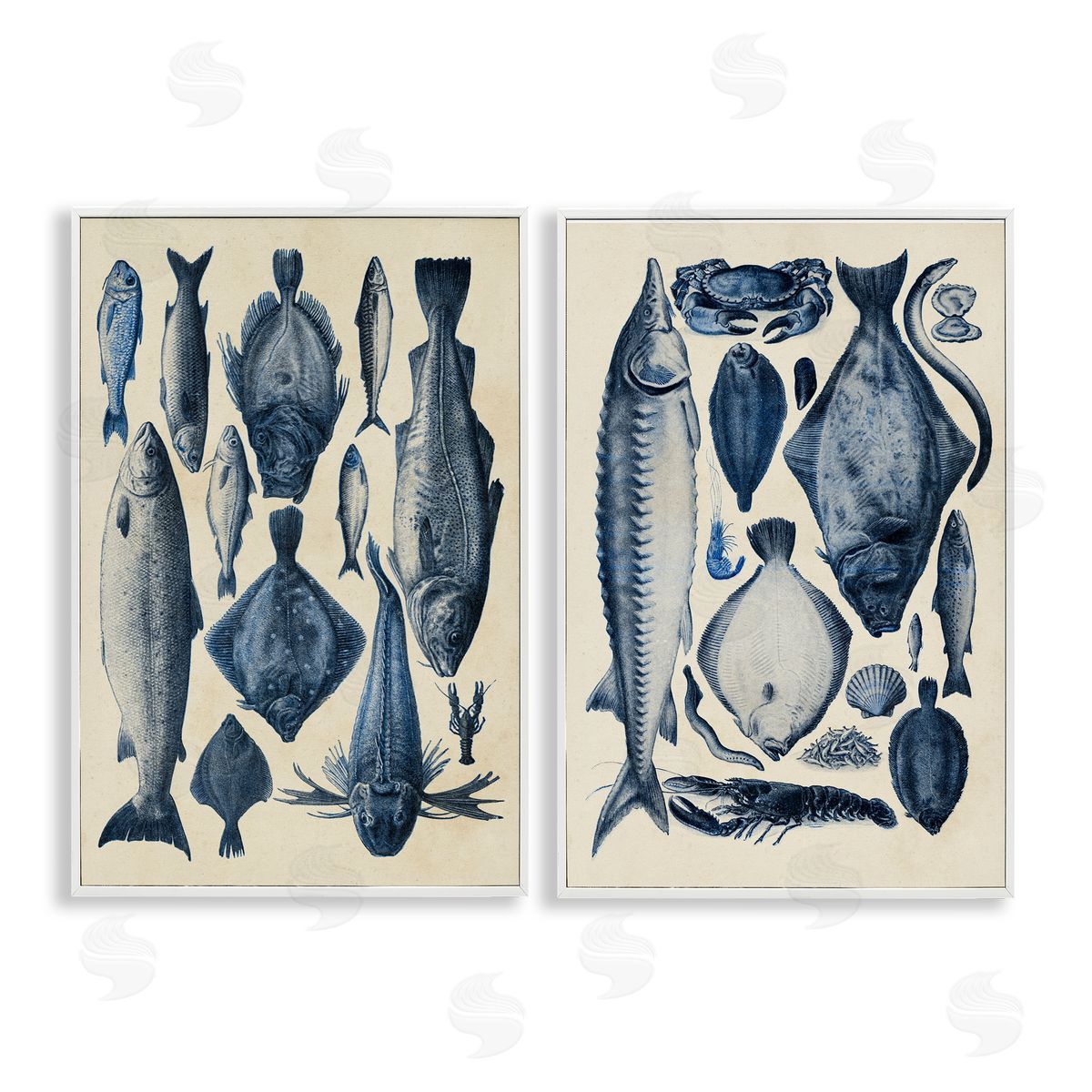 Alicia Longley Various Vintage Blue Fish Chart White Frame Giclee Art Set