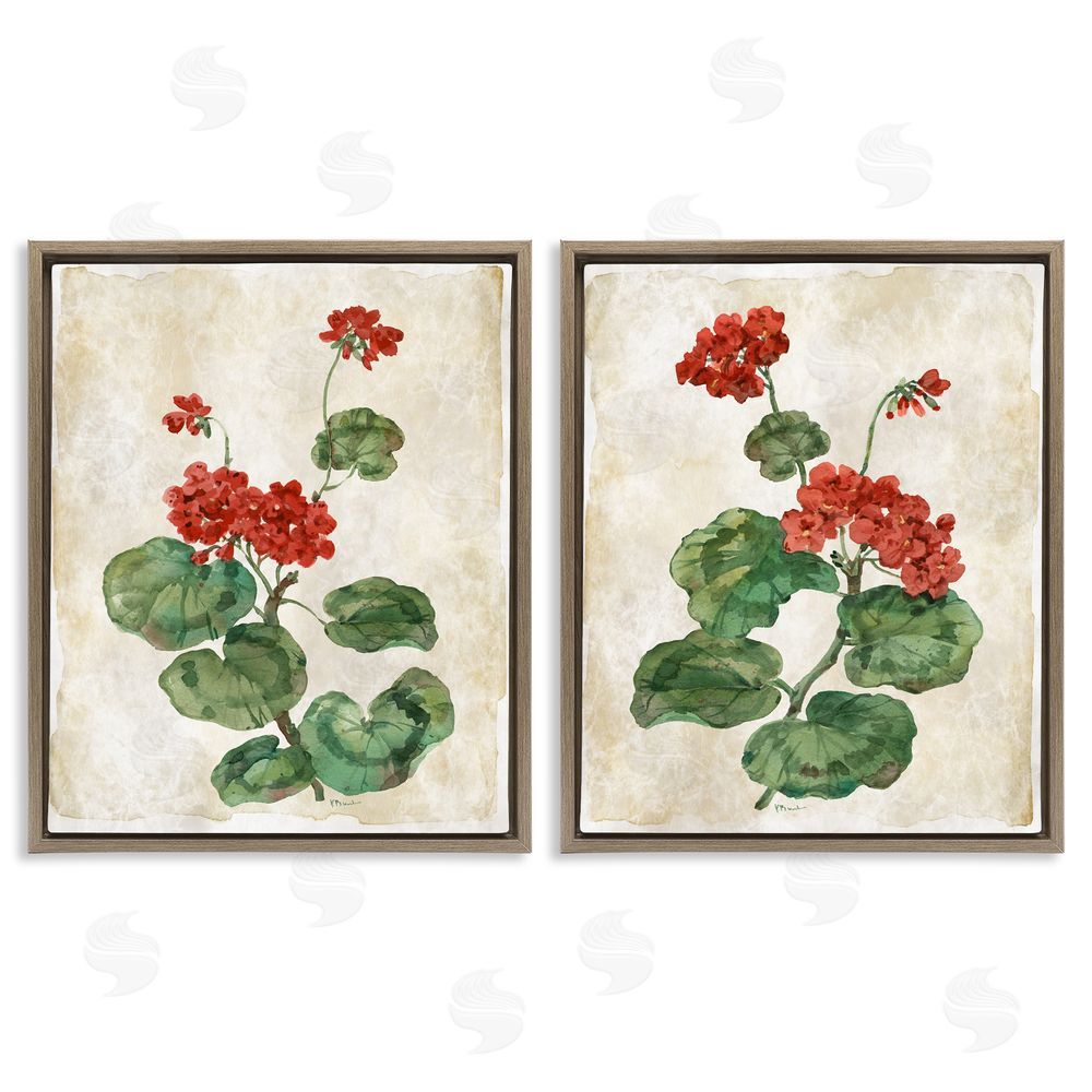 Paul Brent Floral Journal Red Flower Painting Brown Floating Frame Canvas Art Set