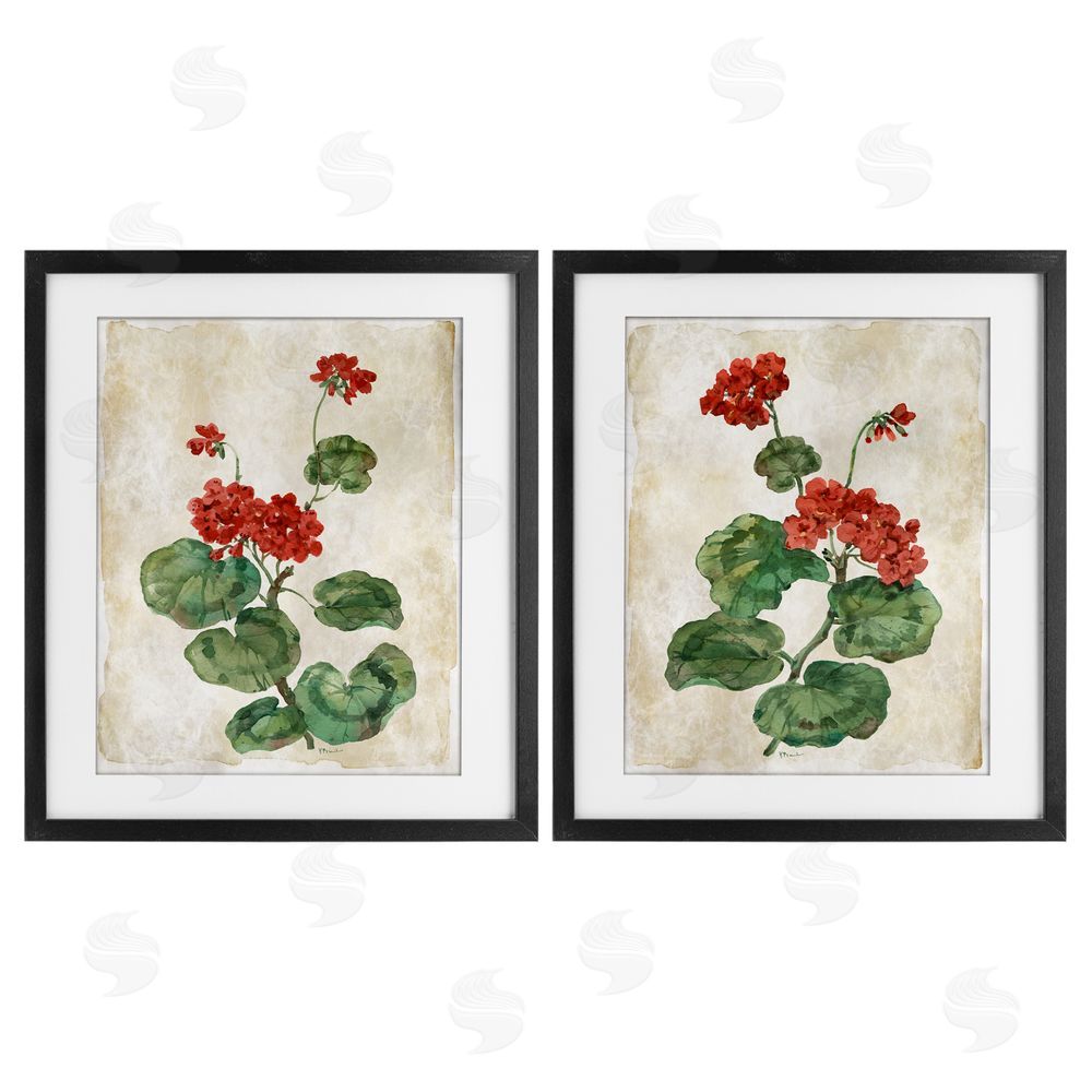 Paul Brent Floral Journal Red Flower Painting Black Framed Print Under Glass Set