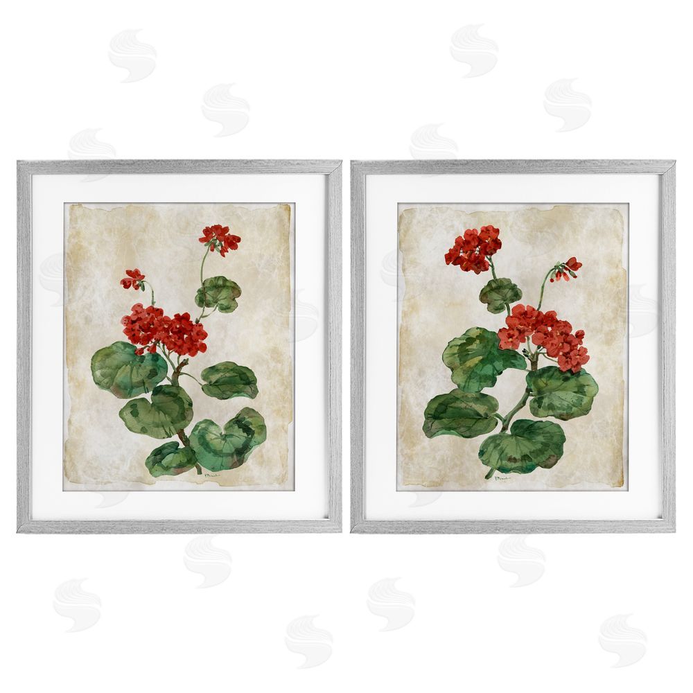 Paul Brent Floral Journal Red Flower Painting Gray Framed Print Under Glass Set