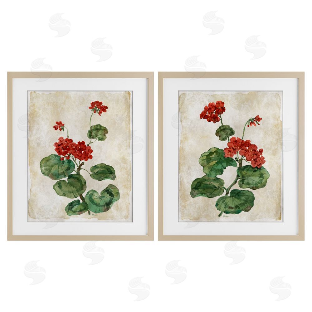 Paul Brent Floral Journal Red Flower Painting Birch Framed Print Under Glass Set
