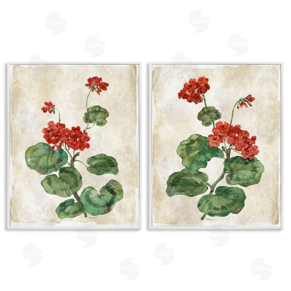 Paul Brent Floral Journal Red Flower Painting White Frame Giclee Art Set