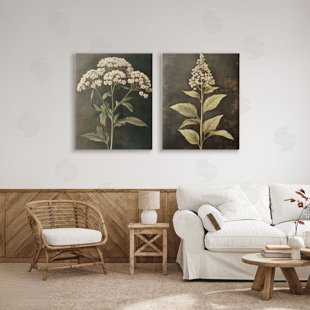 Petal Prints Design Sophisticated and Weathered Flower Portraits Canvas Art on Wall