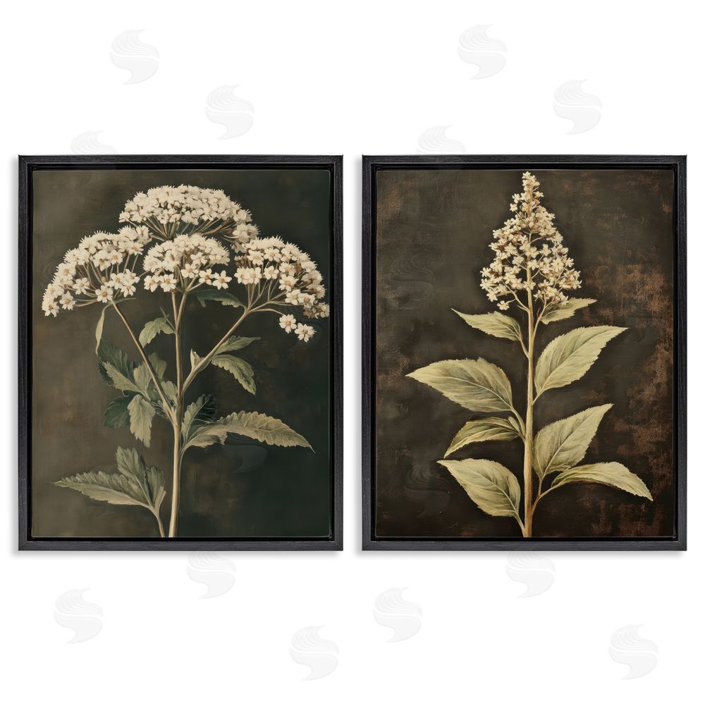 Petal Prints Design Sophisticated and Weathered Flower Portraits Black Floating Frame Canvas Wall Art Print