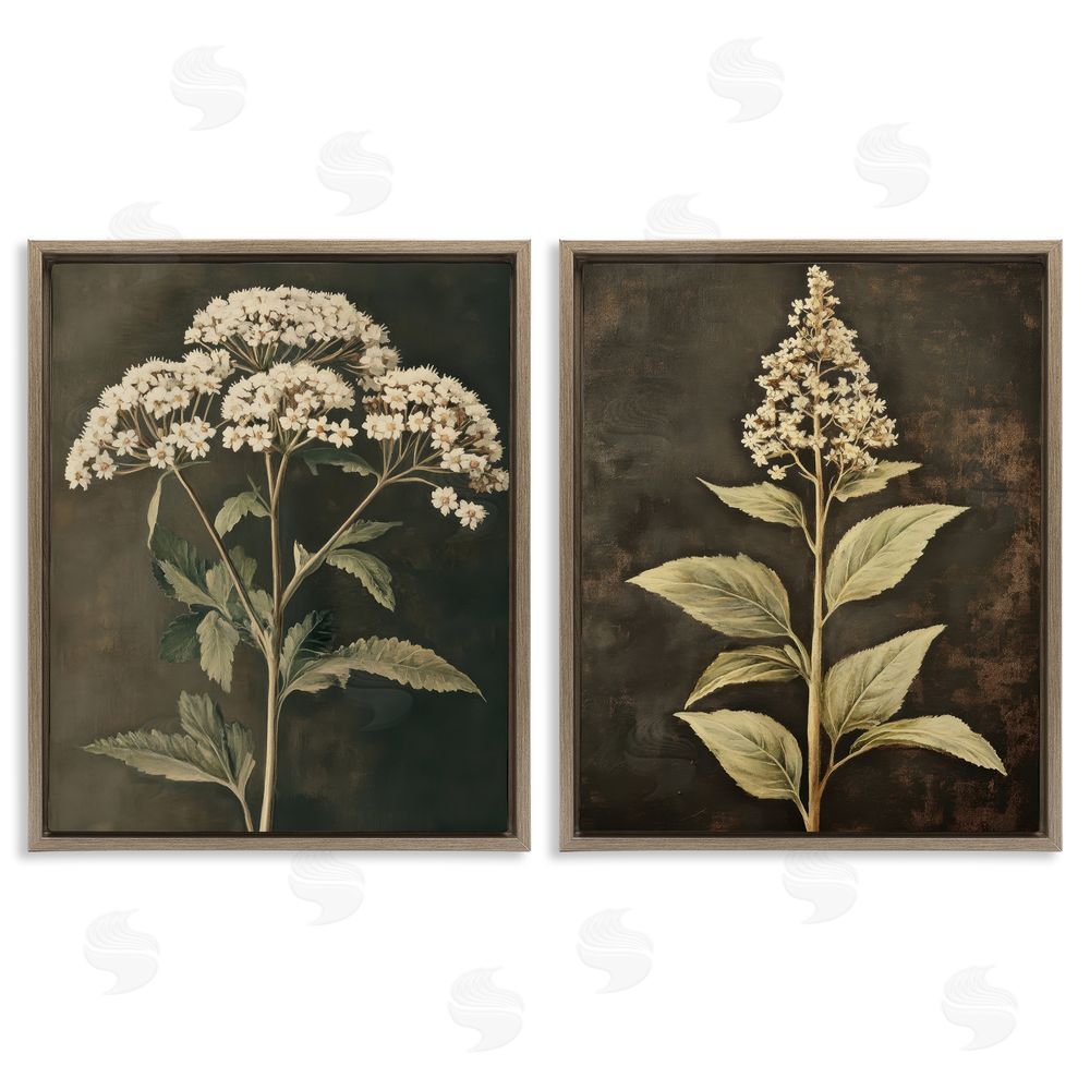 Petal Prints Design Sophisticated and Weathered Flower Portraits Brown Floating Frame Canvas Wall Art Print