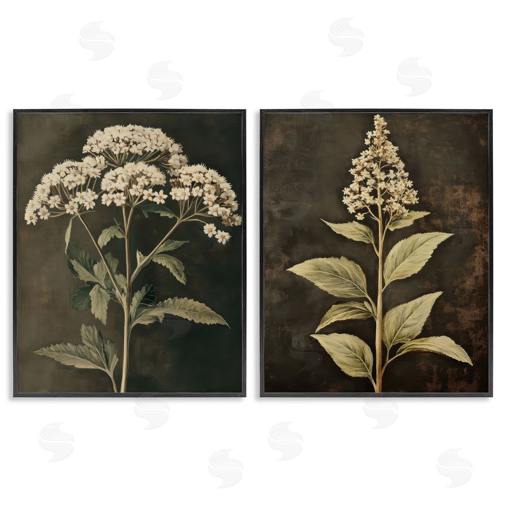 Petal Prints Design Sophisticated and Weathered Flower Portraits Black Framed Giclee Wall Art Print