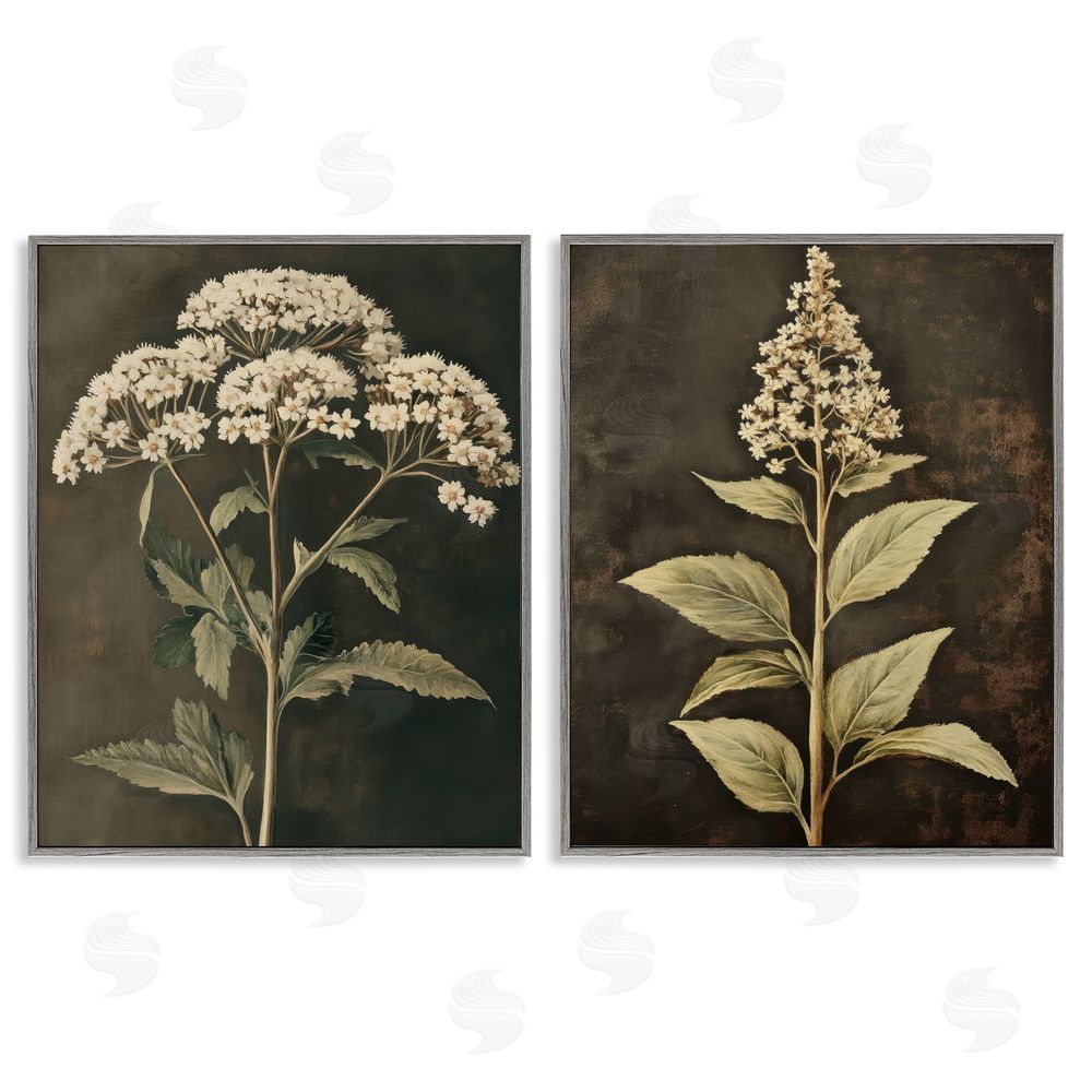Petal Prints Design Sophisticated and Weathered Flower Portraits Gray Framed Giclee Wall Art Print
