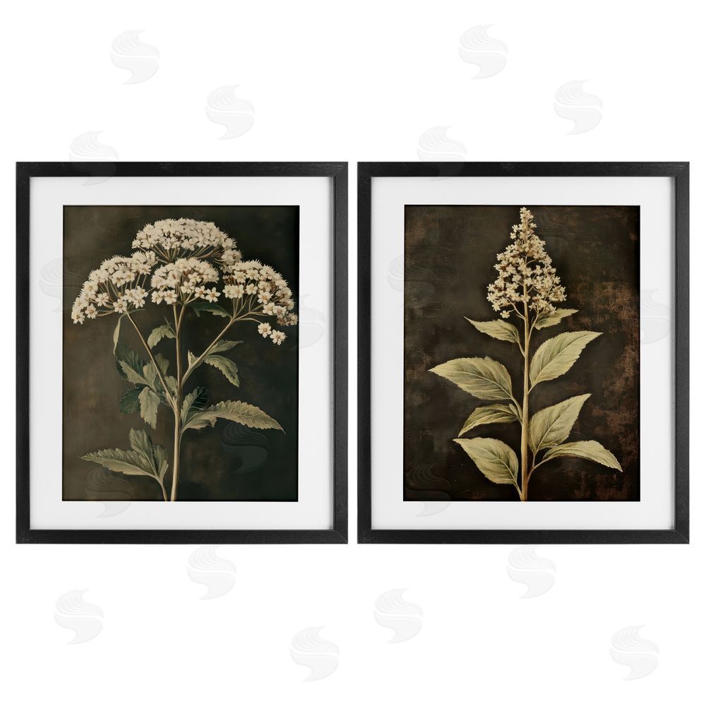 Petal Prints Design Sophisticated and Weathered Flower Portraits Black Framed Print Under Glass with White Mat Wall Art