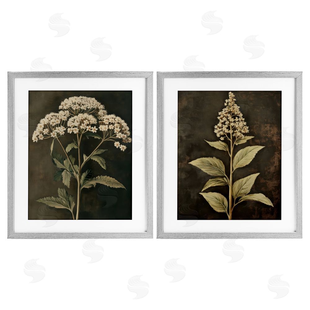 Petal Prints Design Sophisticated and Weathered Flower Portraits Gray Framed Print Under Glass with White Mat Wall Art