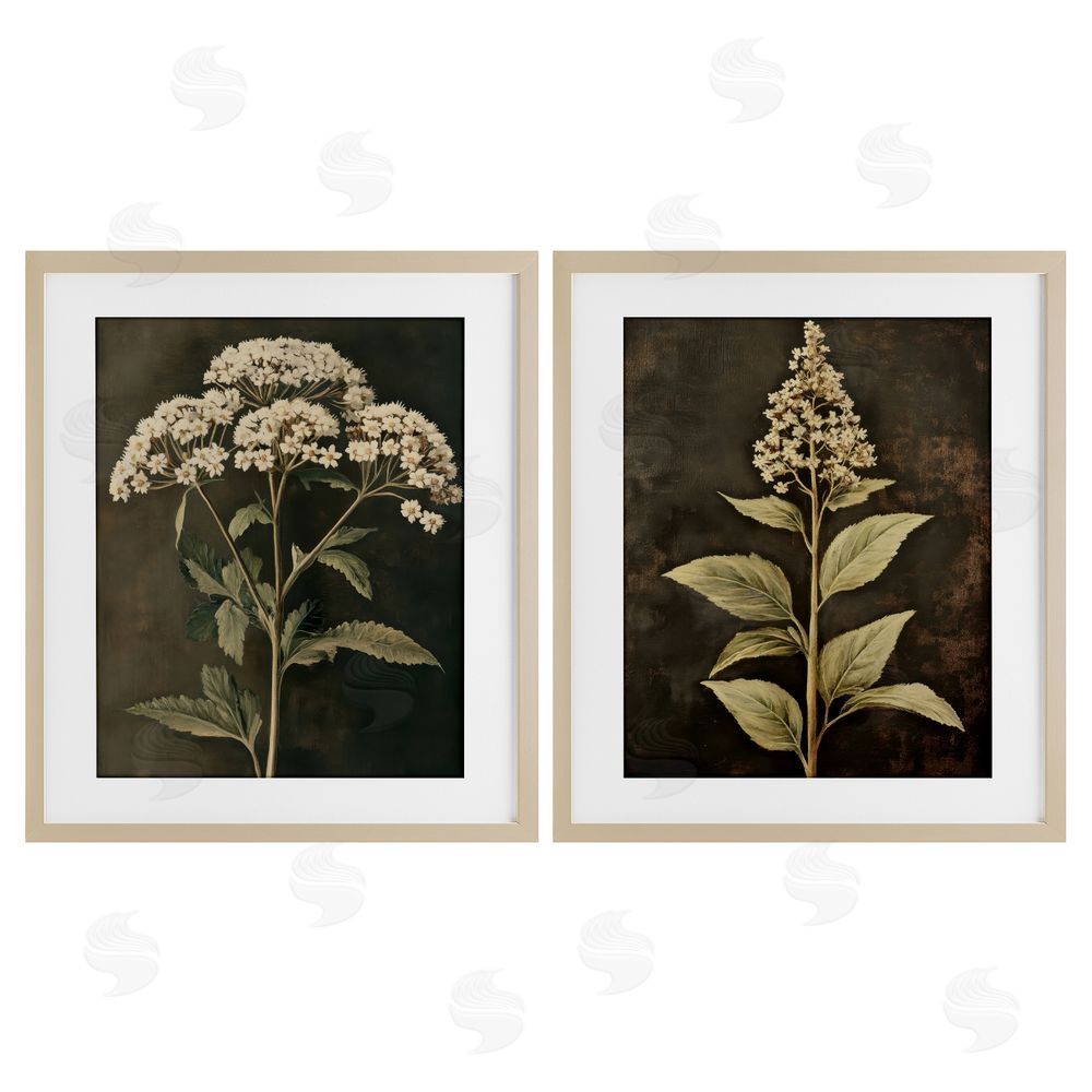 Petal Prints Design Sophisticated and Weathered Flower Portraits Birch Framed Print Under Glass with White Mat Wall Art