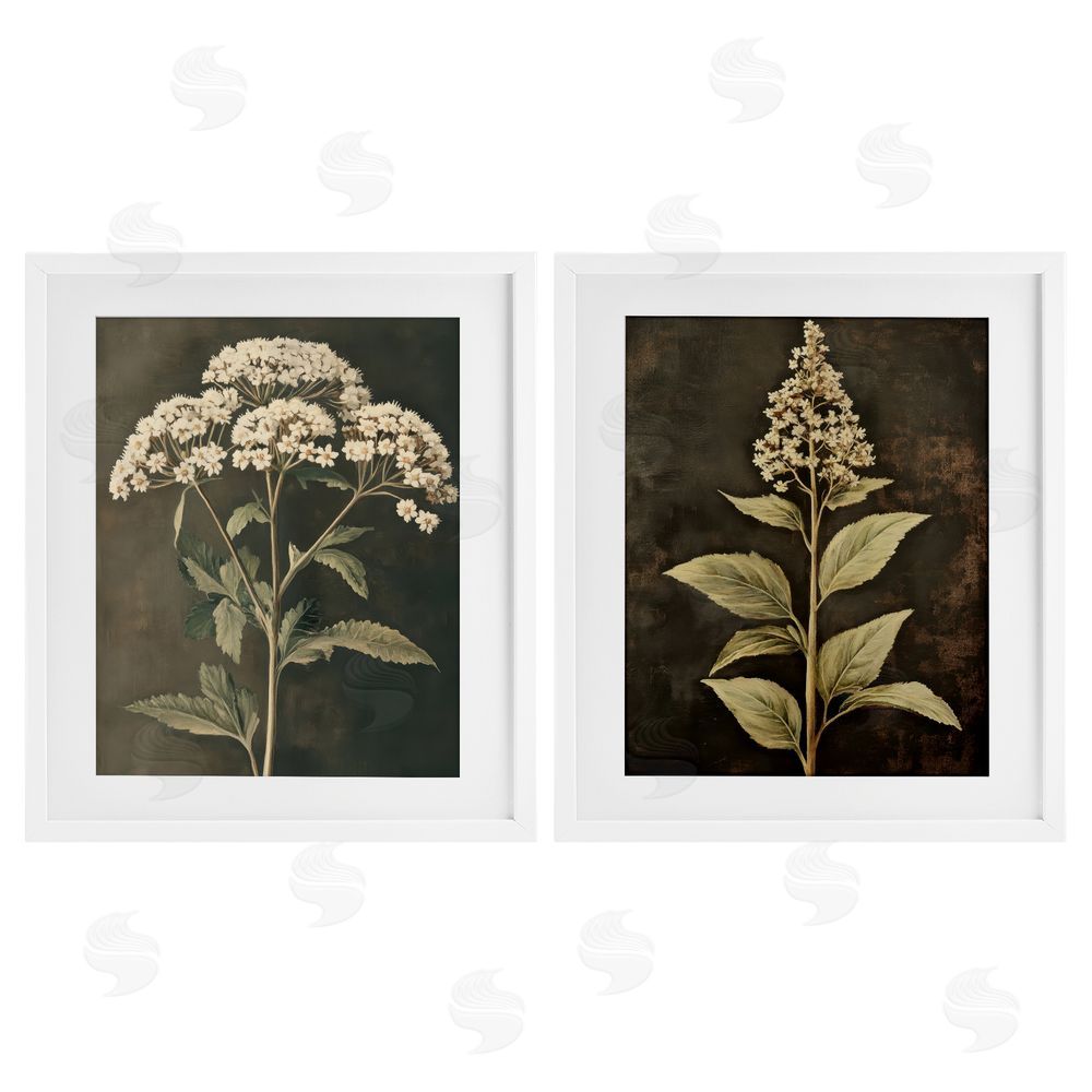 Petal Prints Design Sophisticated and Weathered Flower Portraits White Framed Print Under Glass with Mat Wall Art