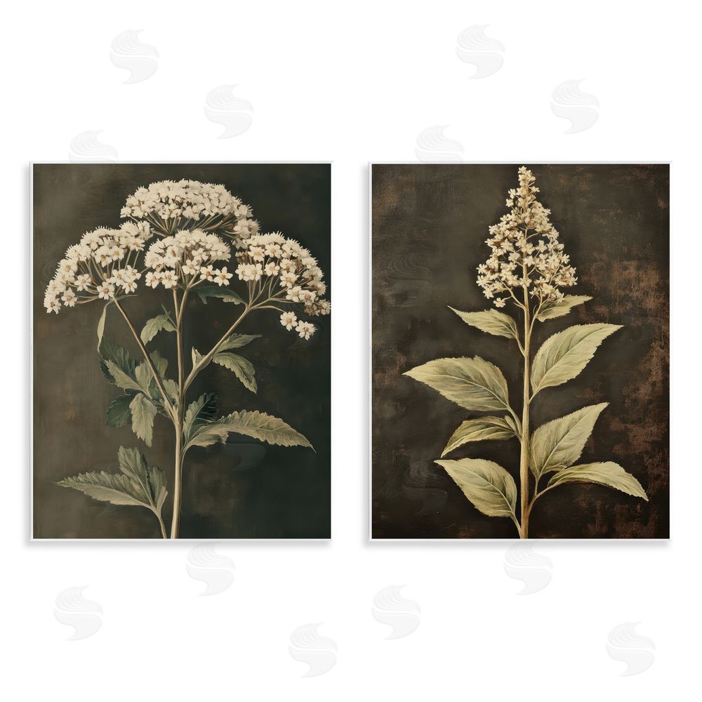 Petal Prints Design Sophisticated and Weathered Flower Portraits Wall Plaque Art Print