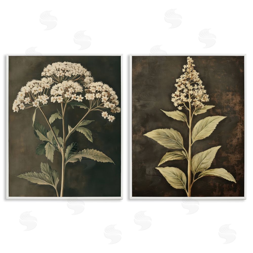Petal Prints Design Sophisticated and Weathered Flower Portraits White Framed Giclee Wall Art Print