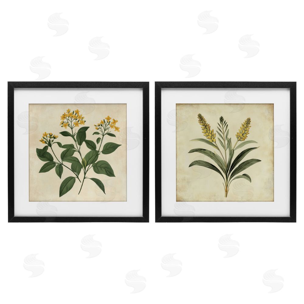 Petal Prints Design Vintage Yellow Bushels and Wheat Black Framed Print Under Glass with White Mat Wall Art