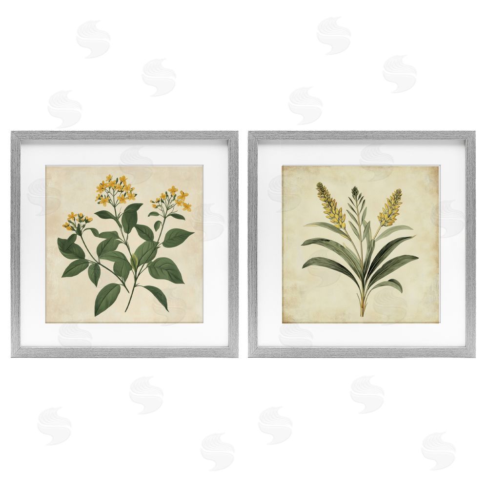 Petal Prints Design Vintage Yellow Bushels and Wheat Gray Framed Print Under Glass with White Mat Wall Art