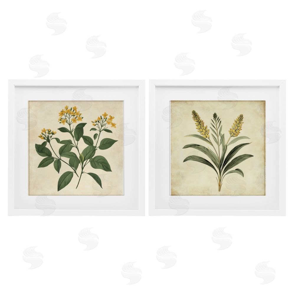 Petal Prints Design Vintage Yellow Bushels and Wheat White Framed Print Under Glass with Mat Wall Art