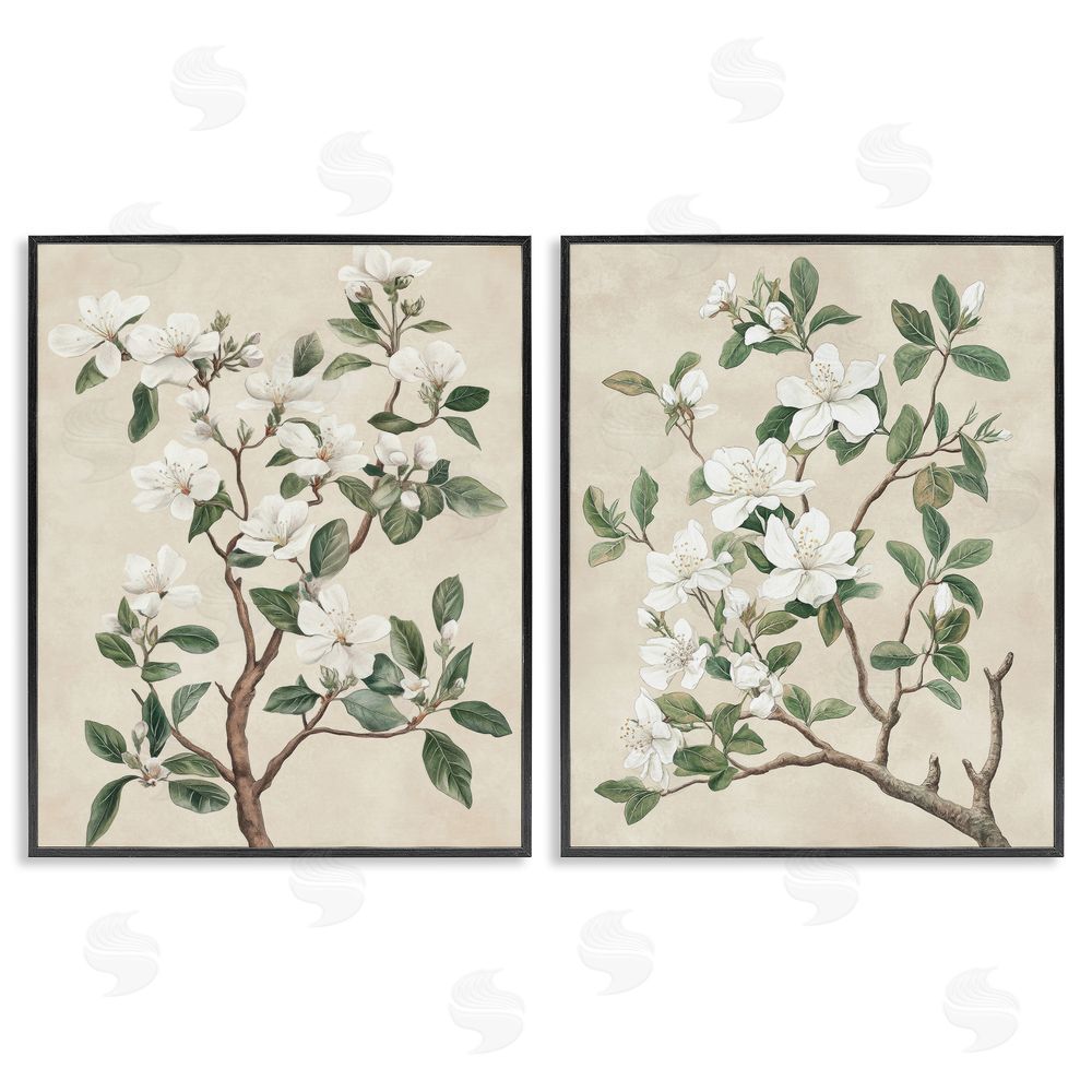 Petal Prints Design Vintage White Floral Blossomed Trees Black Framed Giclee Wall Art Print