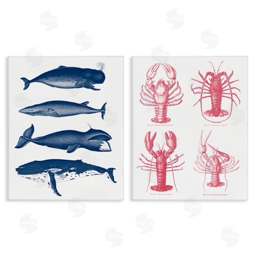 Lettered and Lined Marine Whales & Lobsters Stretched Canvas Wall Art Print