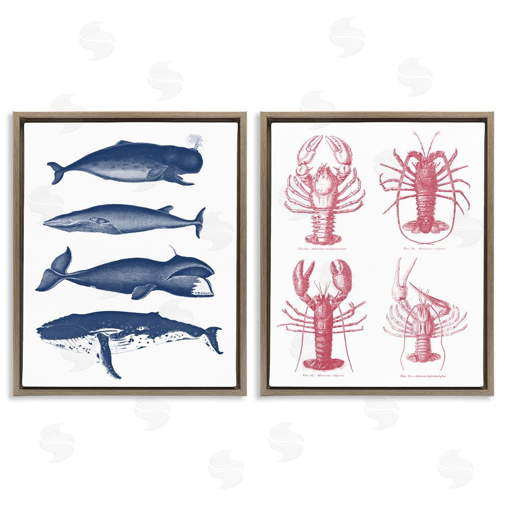 Lettered and Lined Marine Whales & Lobsters Brown Floating Frame Canvas Wall Art Print