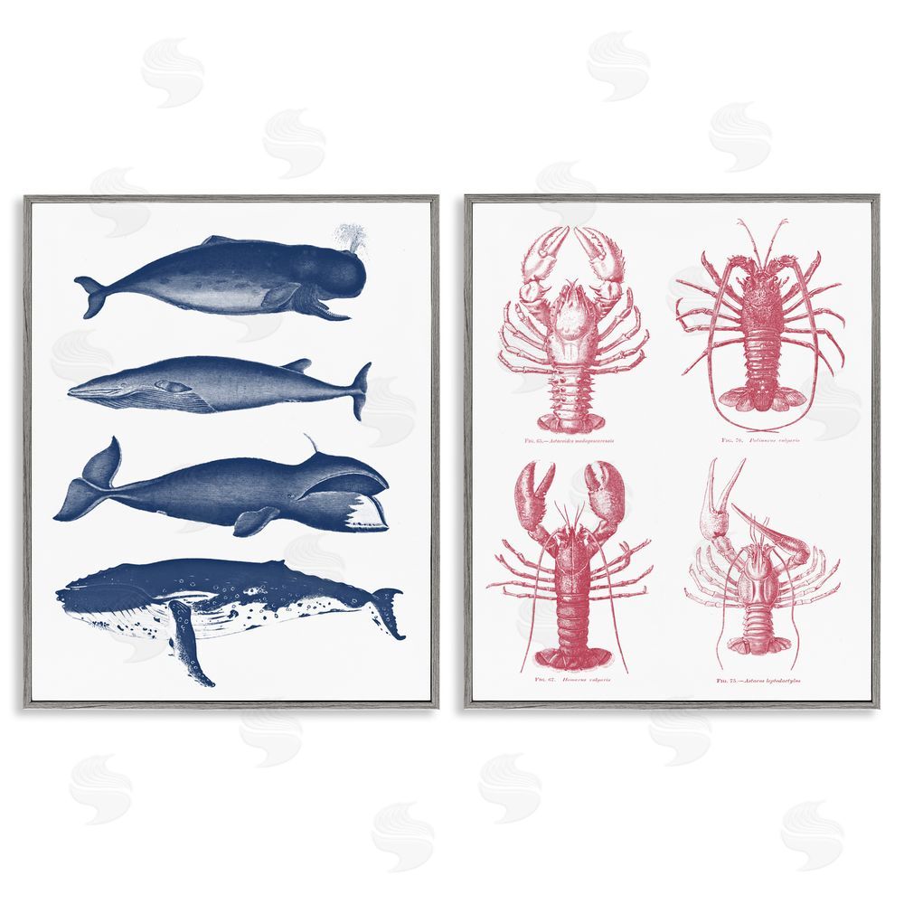 Lettered and Lined Marine Whales & Lobsters Gray Framed Giclee Print Wall Art