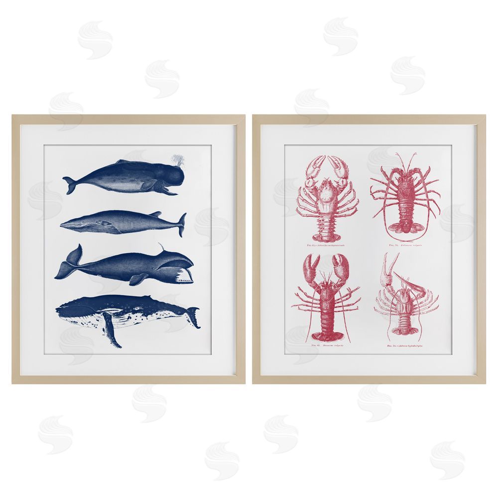 Lettered and Lined Marine Whales & Lobsters Brown Framed Print Under Glass Wall Art