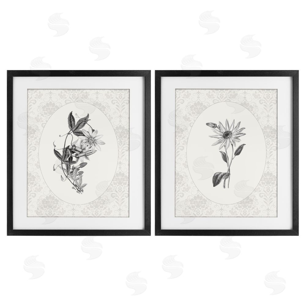 CAD Designs Vintage Flowers & Lace Black Framed Print Under Glass Wall Art