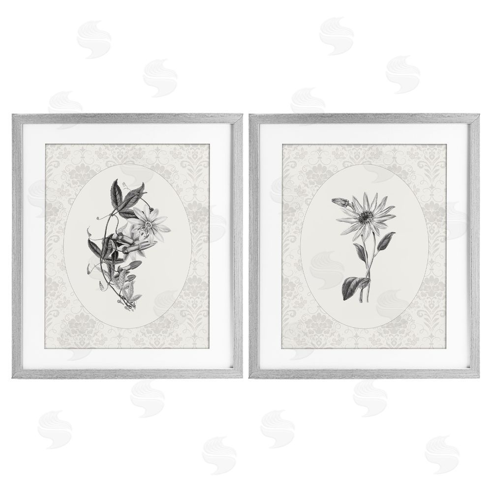 CAD Designs Vintage Flowers & Lace Gray Framed Print Under Glass Wall Art