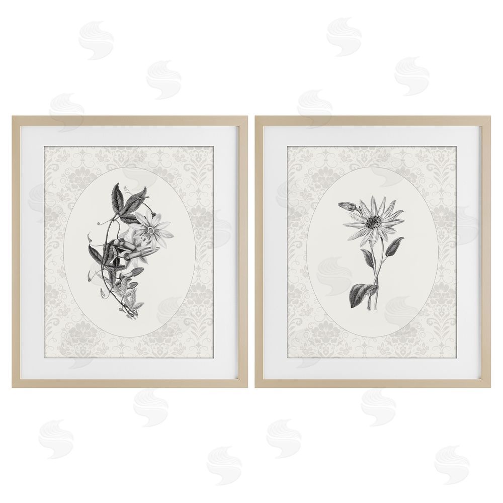 CAD Designs Vintage Flowers & Lace Birch Framed Print Under Glass Wall Art