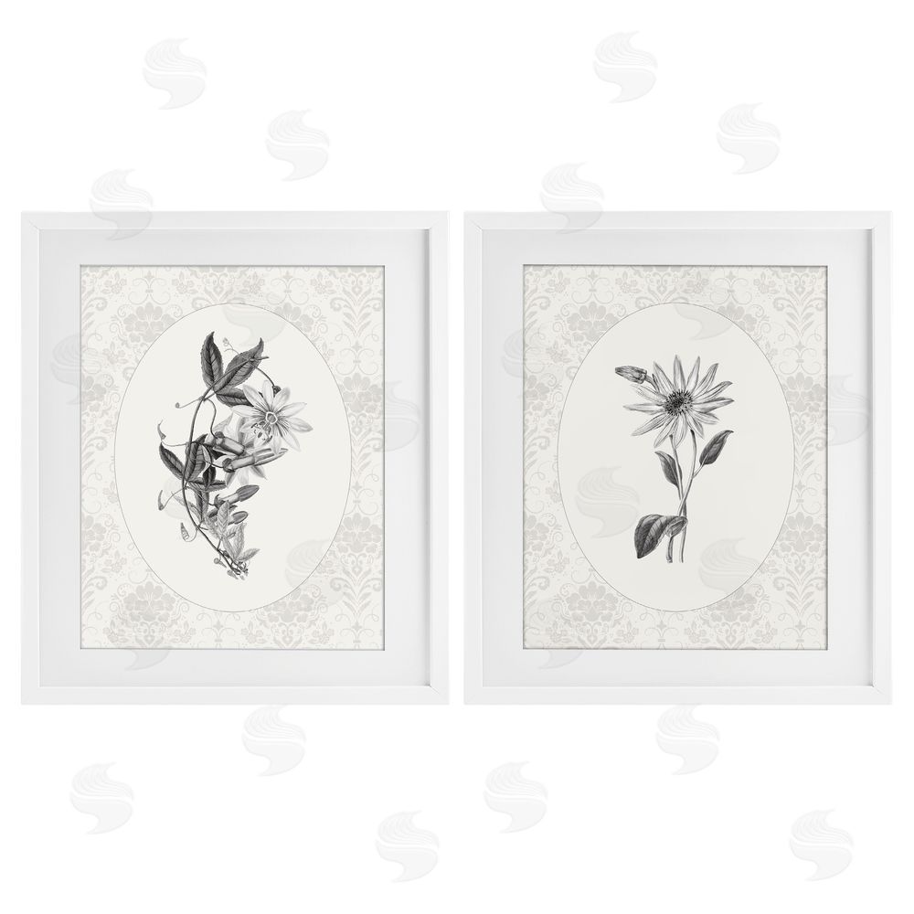 CAD Designs Vintage Flowers & Lace White Framed Print Under Glass Wall Art