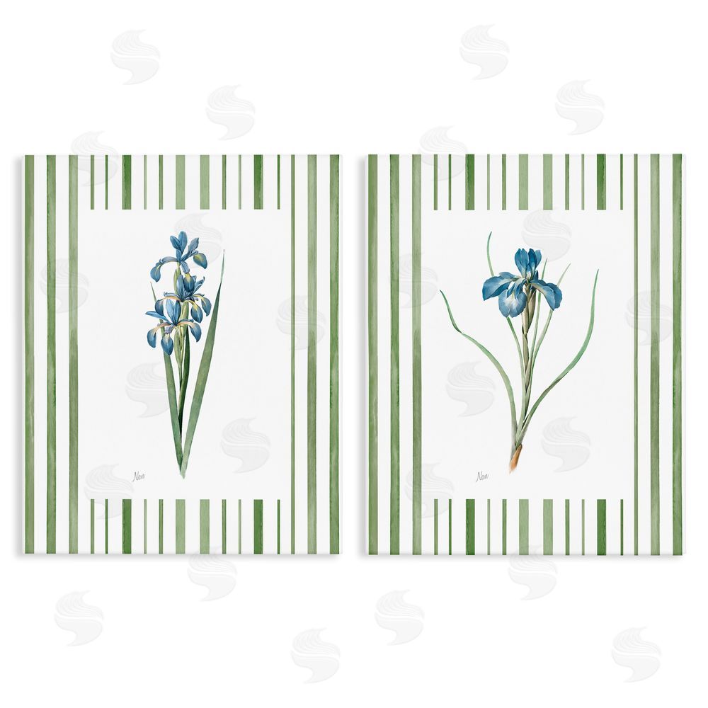 Nan Irises And Stripes Stretched Canvas Wall Art Print