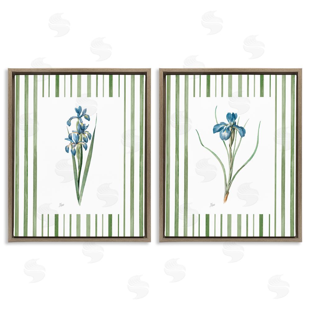 Nan Irises And Stripes Brown Floating Frame Canvas Wall Art Print