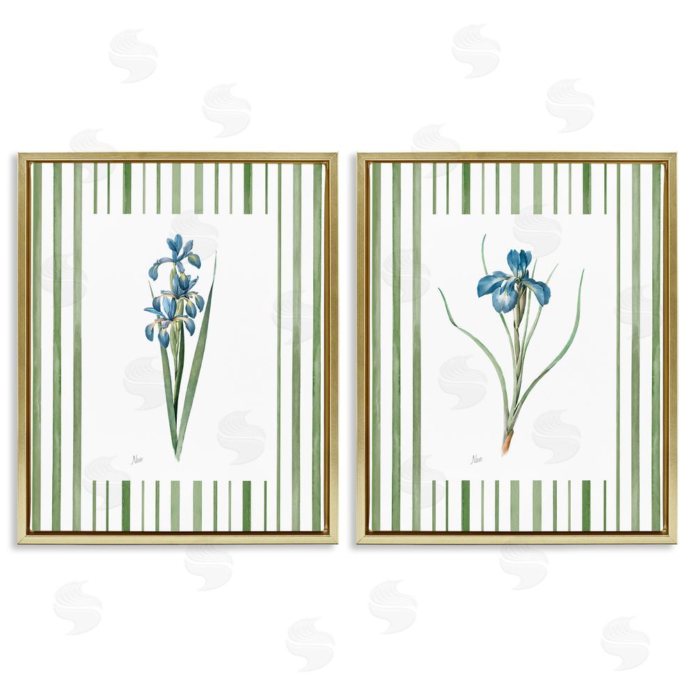 Nan Irises And Stripes Gold Floating Frame Canvas Wall Art Print