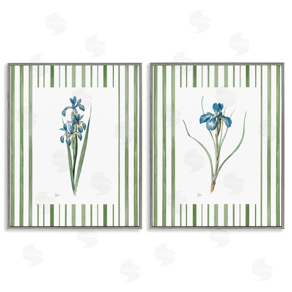Nan Irises And Stripes Gray Framed Giclee Wall Art Print
